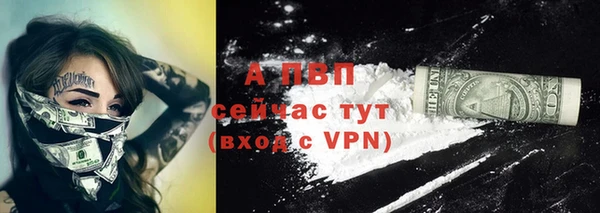 гидра Арсеньев