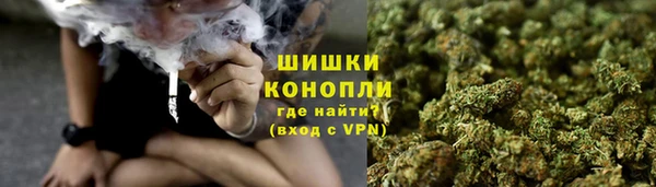 гашик Белокуриха