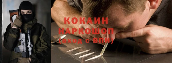 гашик Белокуриха