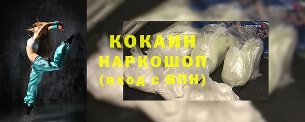 гидра Арсеньев