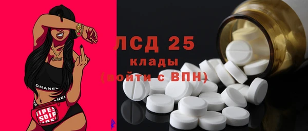 гашик Белокуриха