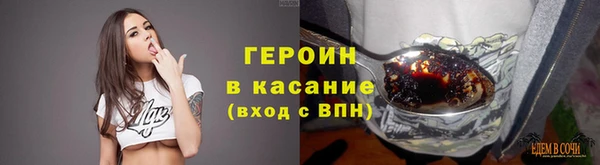 гидра Арсеньев