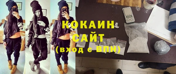 гашик Белокуриха