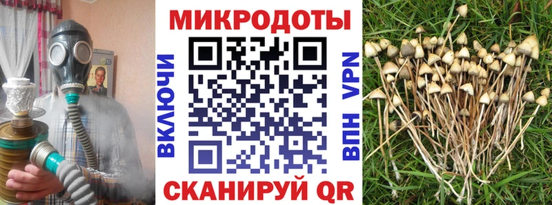 как найти наркотики  Михайлов  Галлюциногенные грибы ЛСД 
